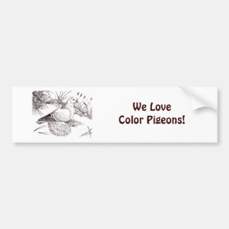 Saxon Field Pigeon Bumper Sticker