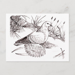 Saxon Field Pigeon Postcard