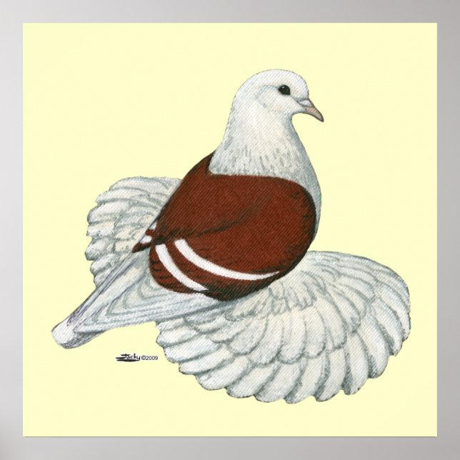 Saxon Shield Pigeon Red White Bar Poster (Front)