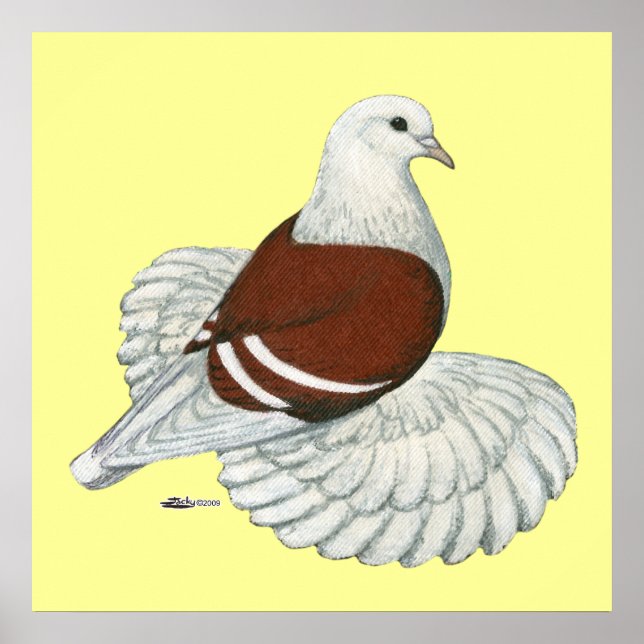 Saxon Shield Pigeon Red White Bar Poster (Front)