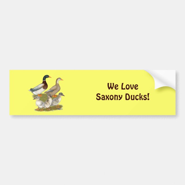 Saxony Duck Family Bumper Sticker (Front)