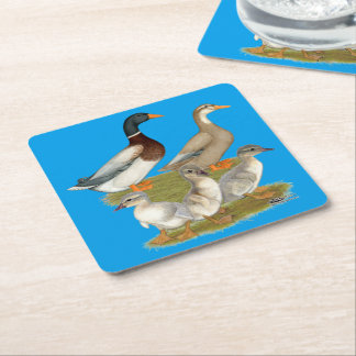 Saxony Duck Family Square Paper Coaster