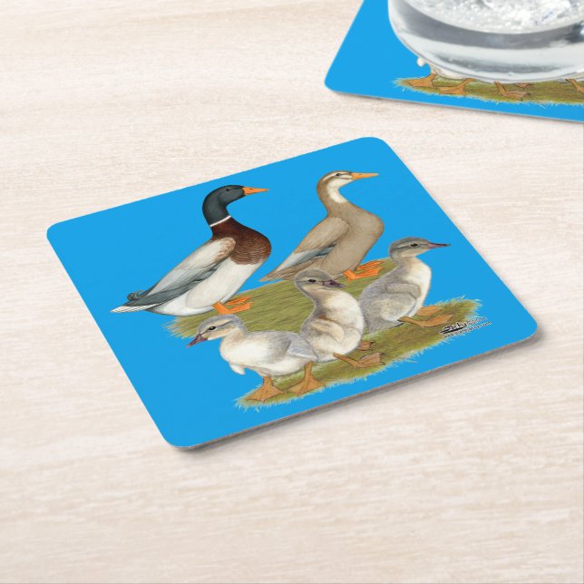 Saxony Duck Family Square Paper Coaster (Angled)
