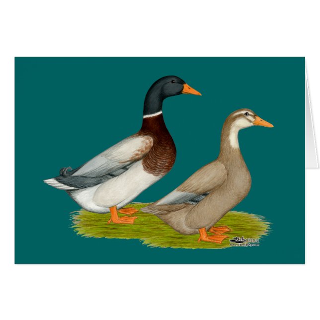 Saxony Ducks (Front Horizontal)