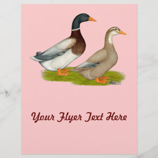 Saxony Ducks Flyer