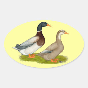 Saxony Ducks Oval Sticker
