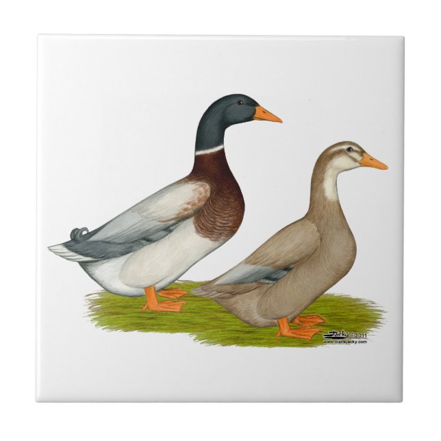 Saxony Ducks Tile (Front)