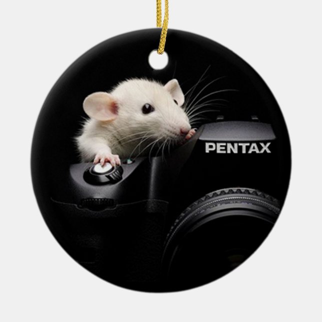 Say Cheese! Ceramic Tree Decoration (Front)