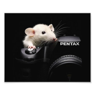 Say Cheese! Photo Print