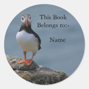 Say Cheese Puffin Sticker