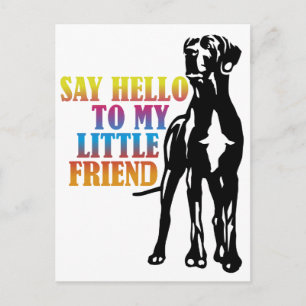 Say Hello To My Little Friend Postcard