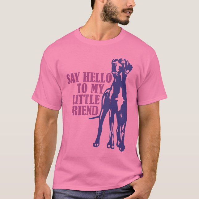 Say Hello To My Little Friend T-Shirt (Front)