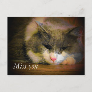 Say I Miss You With This Cute Sad Cat Postcard
