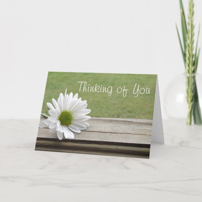 Say it in Daisies Card (Front)