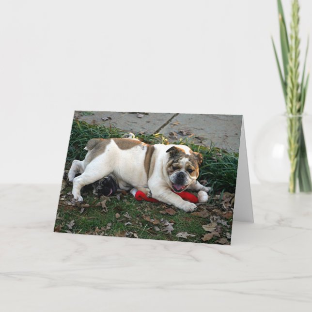 Say Mercy! Card (Front)