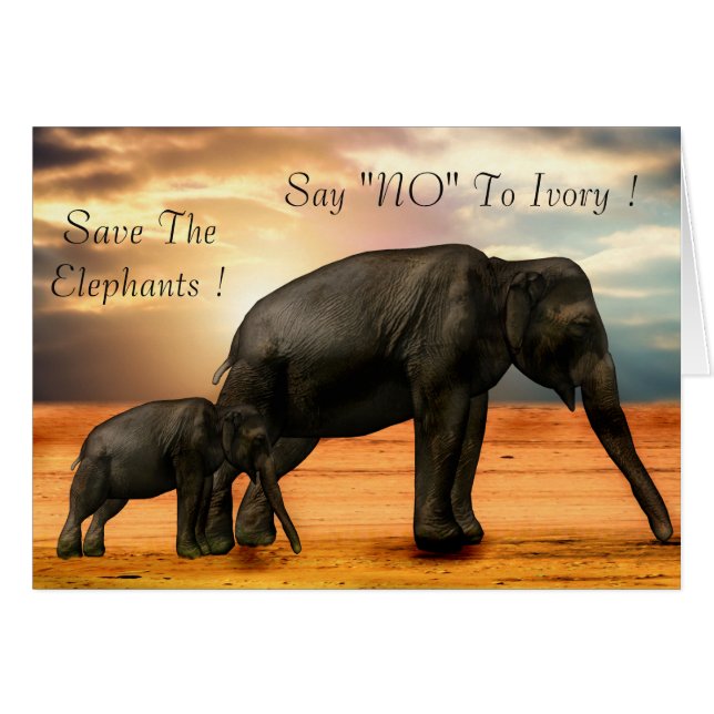 Say "NO" To Ivory (Front Horizontal)