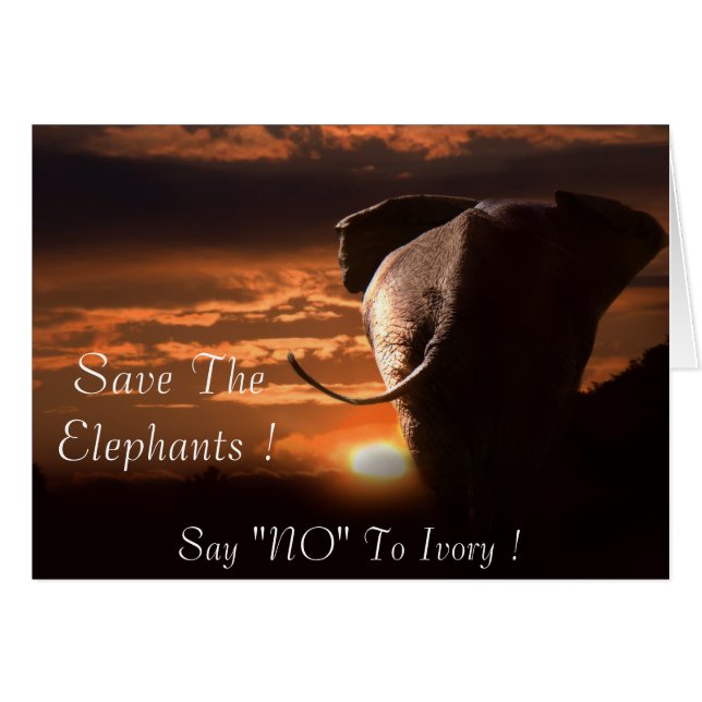 Say "NO" To Ivory (Front Horizontal)