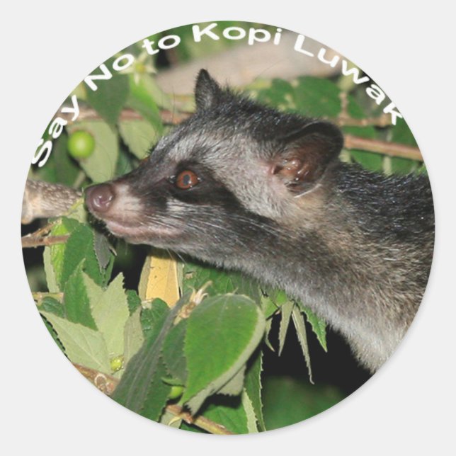 Say No to Kopi Luwak Sticker (Front)