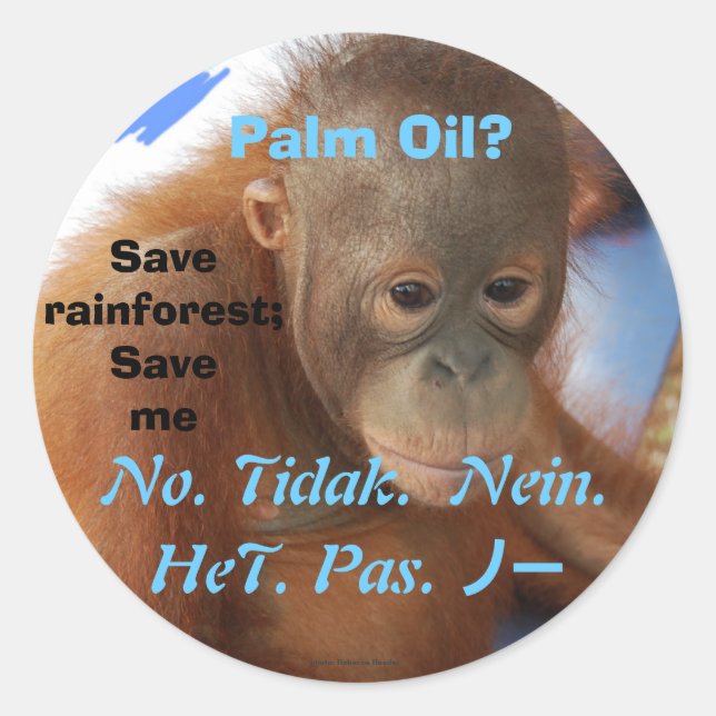 Say No to Palm Oil Classic Round Sticker (Front)