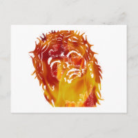 Say no to stupidity & ignorance. End imprisonment.