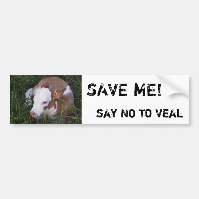Say NO to Veal bumper sticker (Front)