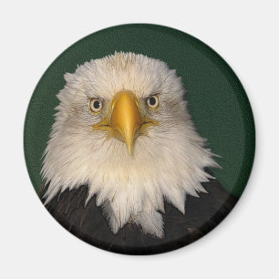 "SAY WHAT?" Bald Eagle Magnet