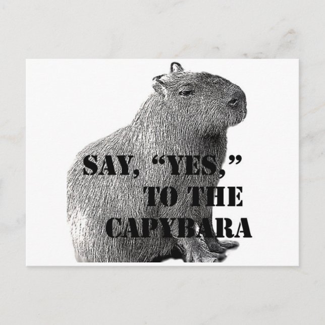Say, "Yes," To The Capybara Postcard (Front)