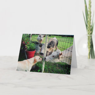 Saying Hello Card
