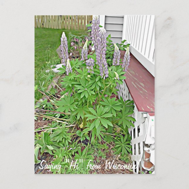 Saying Hi from Wisconsin Postcard (Front)