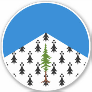 SCA Crosston Vinyl Sticker