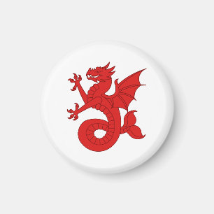 SCA Seashire Magnet