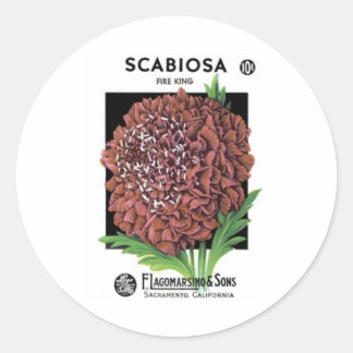 Scabiosa, Fire King, F. Lagomarsino & Sons Classic Round Sticker