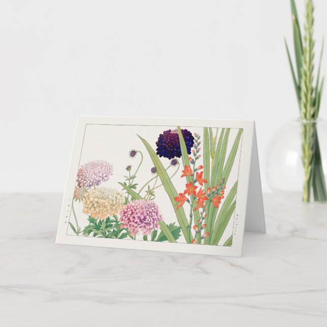 Scabiosa, Montbretia by Tanigami Konan Card (Front)