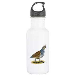 Scaled Quail 532 Ml Water Bottle