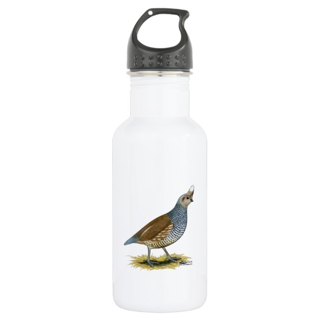 Scaled Quail 532 Ml Water Bottle (Front)