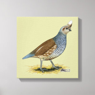 Scaled Quail Canvas Print