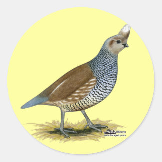 Scaled Quail Classic Round Sticker