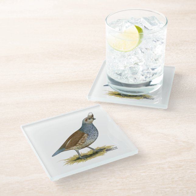 Scaled Quail Glass Coaster (Angled)