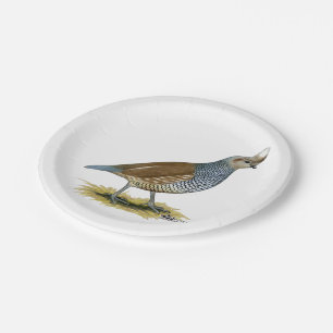 Scaled Quail Paper Plate