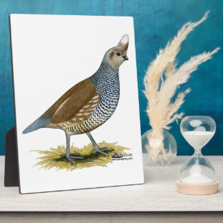 Scaled Quail Plaque