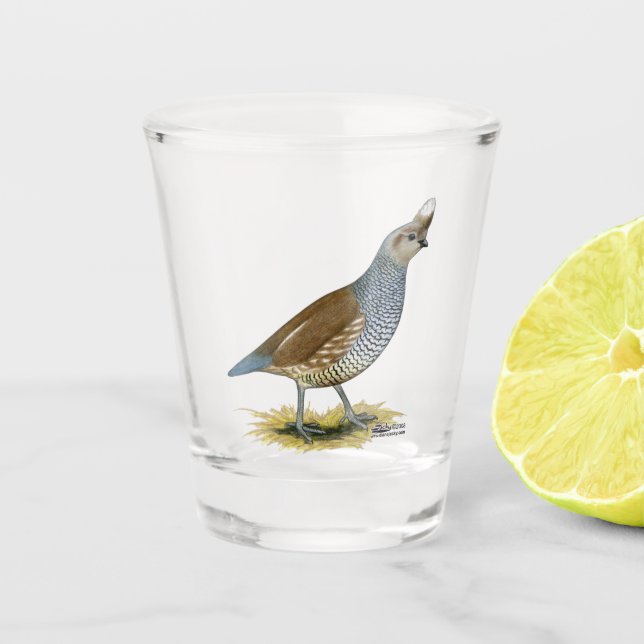 Scaled Quail Shot Glass (Front)