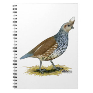 Scaled Quail Spiral Notebook