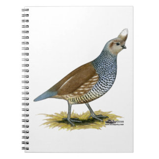 Scaled Quail Spiral Notebook