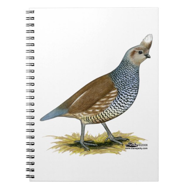 Scaled Quail Spiral Notebook (Front)