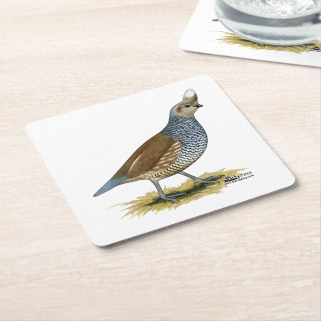 Scaled Quail Square Paper Coaster (Angled)