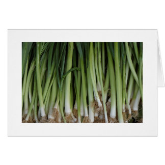 Scallions Card