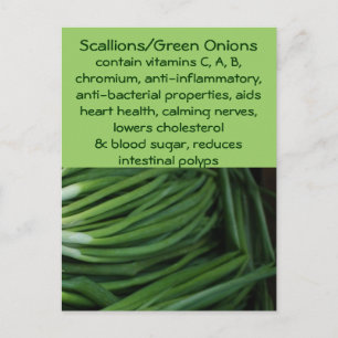 Scallions/Green Onions postcard