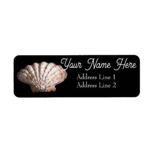 Scallop 3236