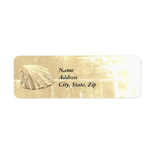 Scallop Seashell on Sand (Front)