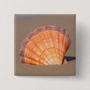 Scallop Shell Crete, Greece 15 Cm Square Badge